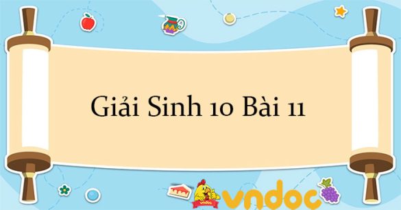 Giải Sinh 10 Bài 11: Vận chuyển các chất qua màng sinh chất CTST