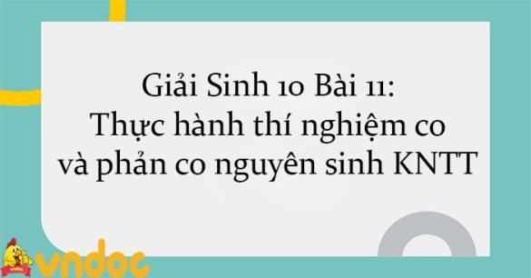 Giải Sinh 10 Bài 11: Thực hành thí nghiệm co và phản co nguyên sinh KNTT