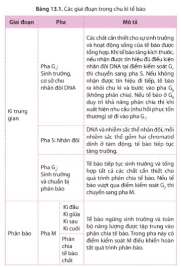 Giải Sinh 10 Bài 13