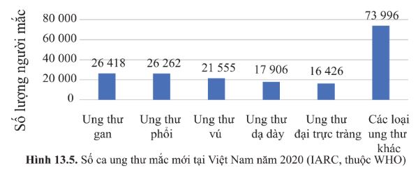 Giải Sinh 10 Bài 13