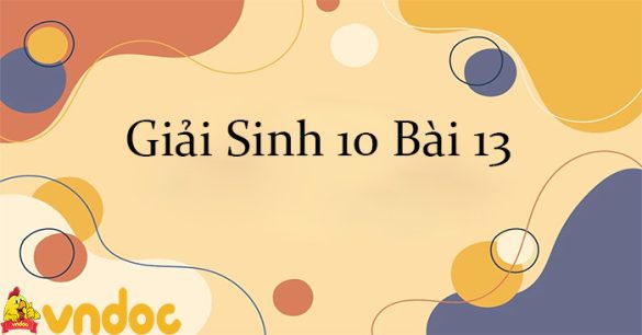 Giải Sinh 10 Bài 13: Chuyển hóa vật chất và năng lượng trong tế bào CTST