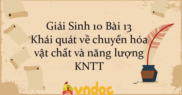 Giải Sinh 10 Bài 13: Khái quát về chuyển hóa vật chất và năng lượng KNTT