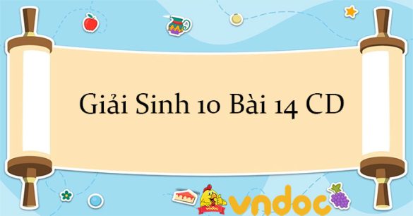 Giải Sinh 10 Bài 14: Giảm phân CD