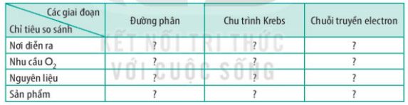 Giải Sinh 10 Bài 14: Phân giải và tổng hợp các chất trong tế bào KNTT