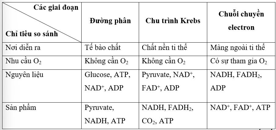 Giải Sinh 10 Bài 14: Phân giải và tổng hợp các chất trong tế bào KNTT