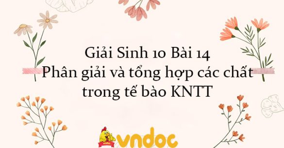 Giải Sinh 10 Bài 14: Phân giải và tổng hợp các chất trong tế bào KNTT