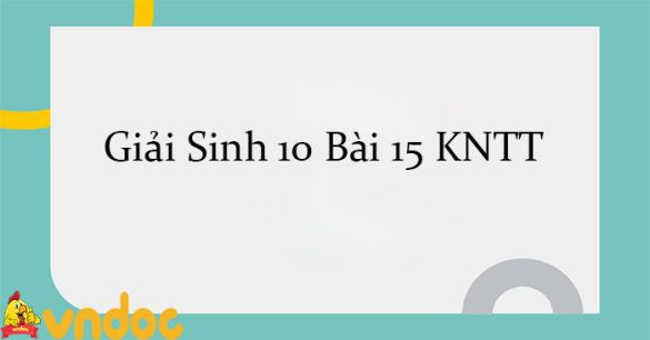 Giải Sinh 10 Bài 15: Thực hành thí nghiệm phân tích ảnh hưởng của một số yếu tố đến hoạt tính của enzyme và kiểm tra hoạt tính của enzyme amylase KNTT