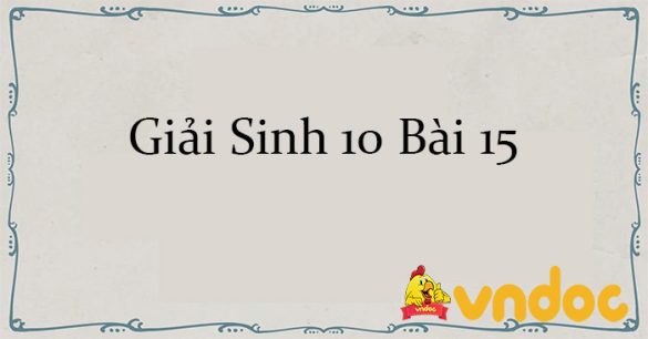 Giải Sinh 10 Bài 15: Tổng hợp các chất và tích lũy năng lượng CTST