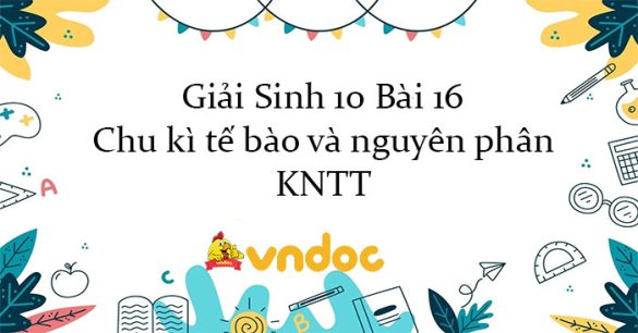 Giải Sinh 10 Bài 16: Chu kì tế bào và nguyên phân KNTT