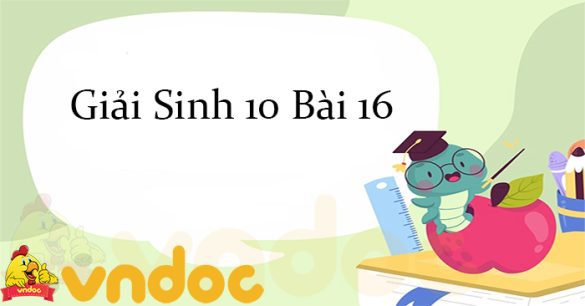 Giải Sinh 10 Bài 16: Phân giải các chất và giải phóng năng lượng CTST