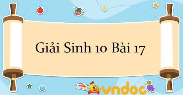 Giải Sinh 10 Bài 17: Thông tin giữa các tế bào CTST