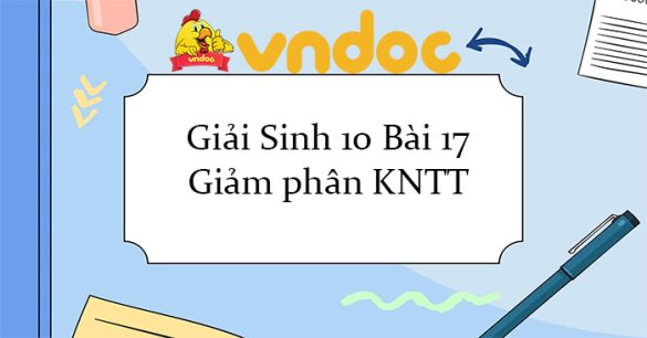 Giải Sinh 10 Bài 17: Giảm phân KNTT