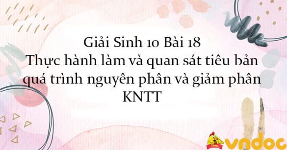 Giải Sinh 10 Bài 18: Thực hành làm và quan sát tiêu bản quá trình nguyên phân và giảm phân KNTT