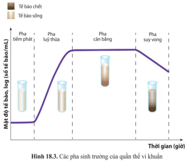 Giải Sinh 10 Bài 18