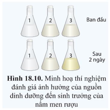 Giải Sinh 10 Bài 18