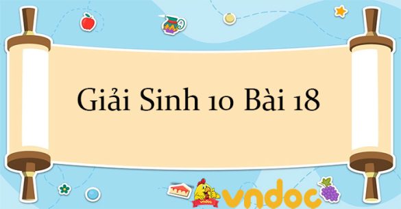 Giải Sinh 10 Bài 18: Chu kì tế bào CTST