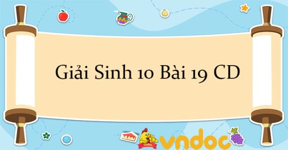 Giải Sinh 10 Bài 19: Quá trình tổng hợp phân giải ở vi sinh vật và ứng dụng CD