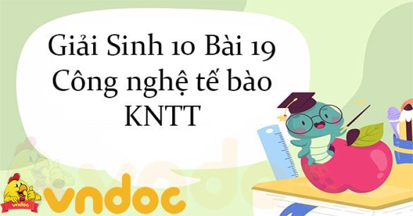 Giải Sinh 10 Bài 19: Công nghệ tế bào KNTT