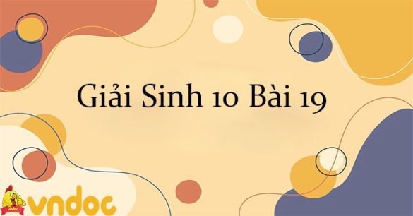 Giải Sinh 10 Bài 19: Quá trình phân bào CTST