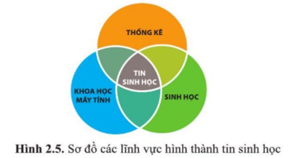 Giải Sinh 10 Bài 2