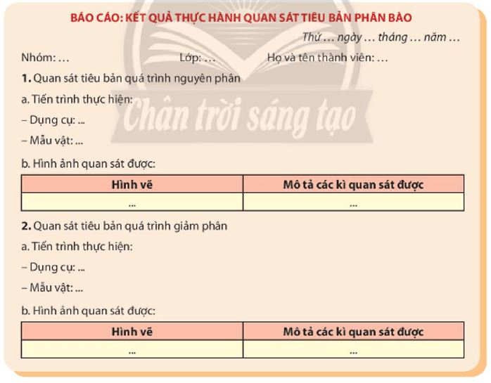 Giải Sinh 10 Bài 20