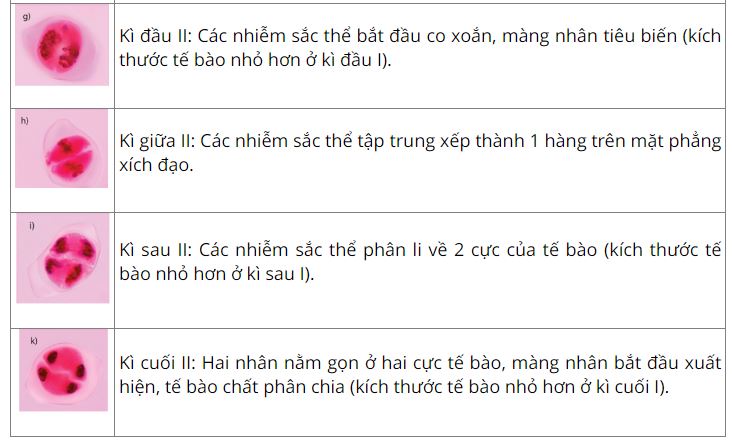 Giải Sinh 10 Bài 20