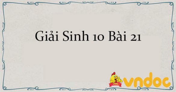 Giải Sinh 10 Bài 21: Công nghệ tế bào CTST