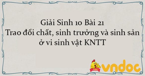 Giải Sinh 10 Bài 21: Trao đổi chất, sinh trưởng và sinh sản ở vi sinh vật KNTT