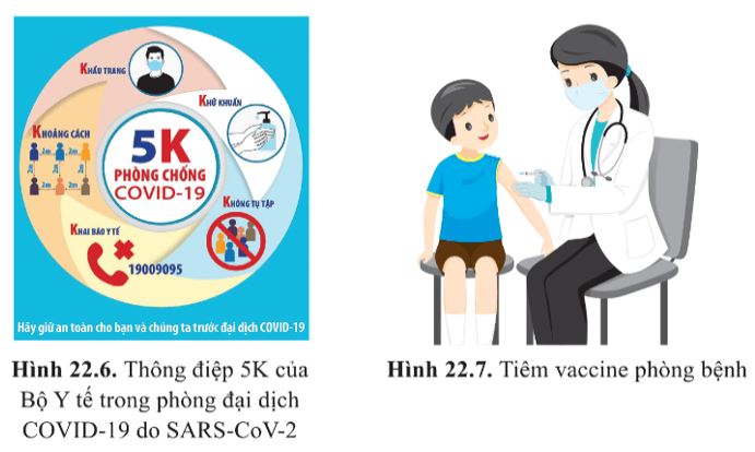 Giải Sinh 10 Bài 22