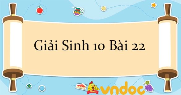 Giải Sinh 10 Bài 22: Khái quát về vi sinh vật CTST