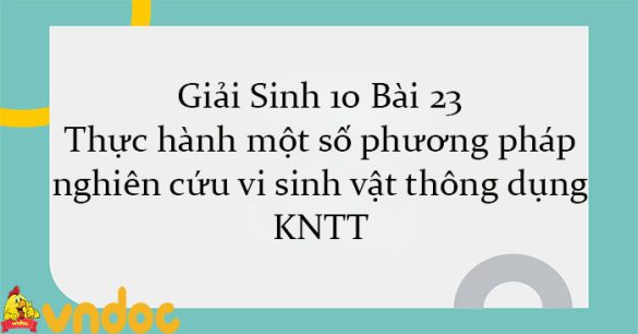 Giải Sinh 10 Bài 23: Thực hành một số phương pháp nghiên cứu vi sinh vật thông dụng KNTT