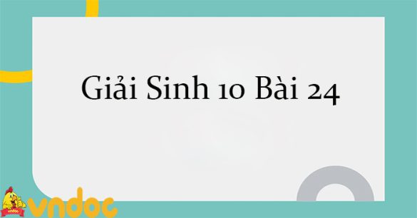 Giải Sinh 10 Bài 24: Quá trình tổng hợp và phân giải ở vi sinh vật CTST