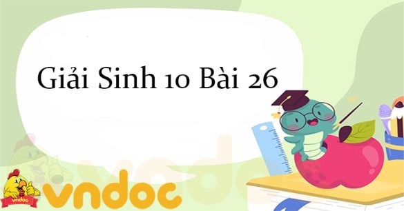 Giải Sinh 10 Bài 26: Công nghệ vi sinh vật CTST