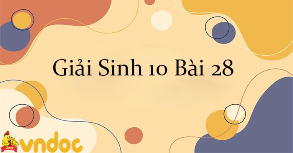 Giải Sinh 10 Bài 28: Thực hành lên men CTST