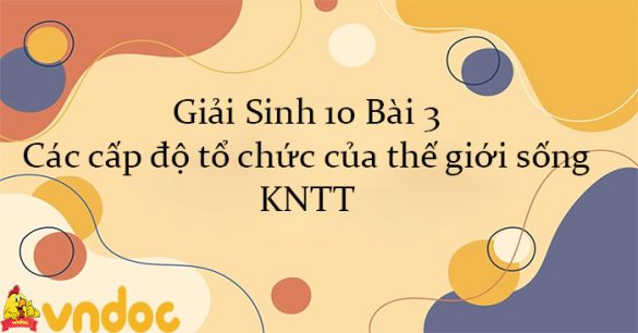 Giải Sinh 10 Bài 3: Các cấp độ tổ chức của thế giới sống KNTT