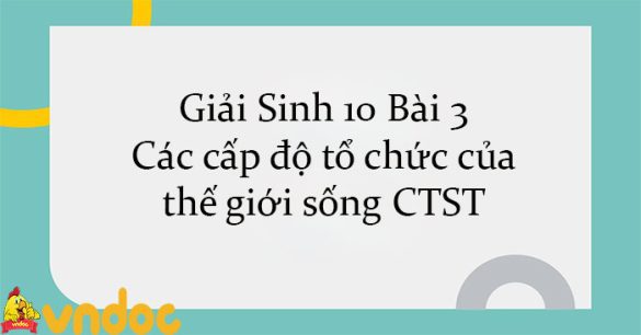 Giải Sinh 10 Bài 3: Các cấp độ tổ chức của thế giới sống CTST