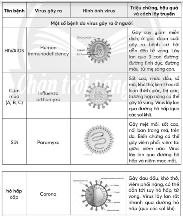 Giải Sinh 10 Bài 31