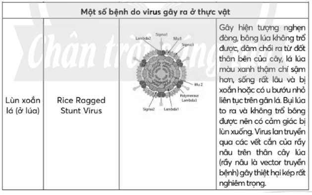 Giải Sinh 10 Bài 31