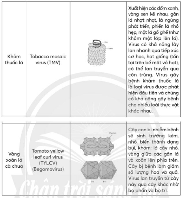 Giải Sinh 10 Bài 31