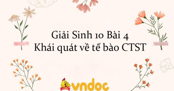 Giải Sinh 10 Bài 4: Khái quát về tế bào CTST