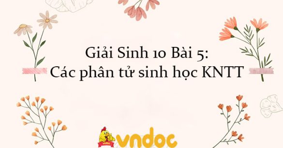 Giải Sinh 10 Bài 5: Các phân tử sinh học KNTT