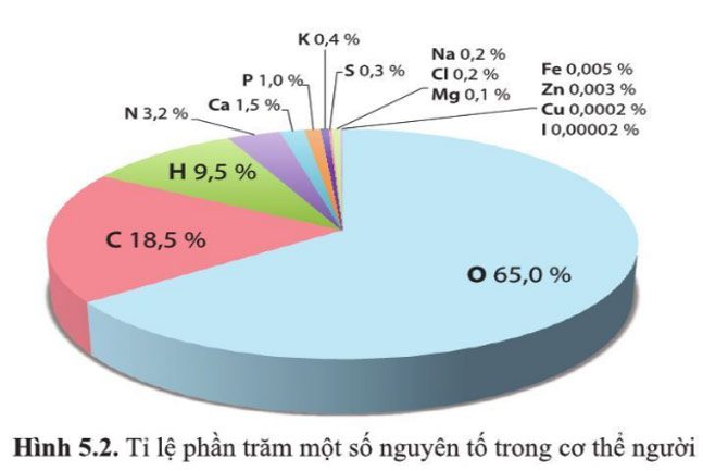 Giải Sinh 10 Bài 5