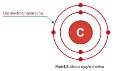 Giải Sinh 10 Bài 5