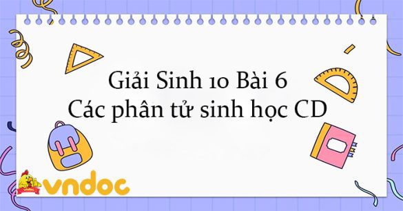 Giải Sinh 10 Bài 6: Các phân tử sinh học CD