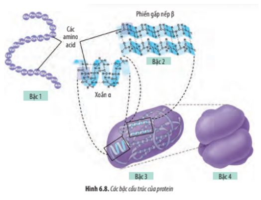 Giải Sinh 10 Bài 6