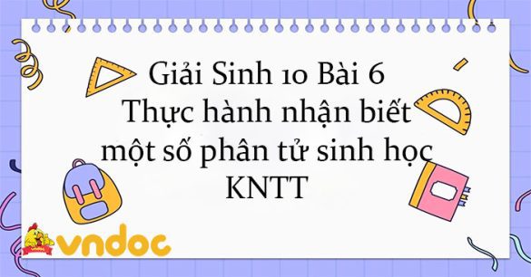 Giải Sinh 10 Bài 6: Thực hành nhận biết một số phân tử sinh học KNTT