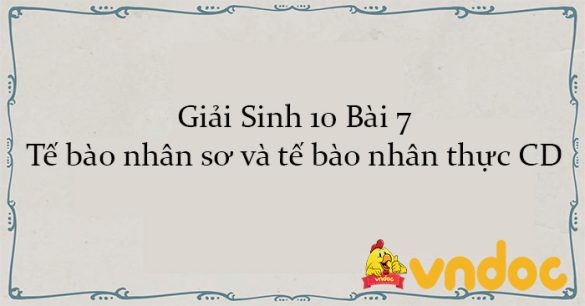 Giải Sinh 10 Bài 7: Tế bào nhân sơ và tế bào nhân thực CD