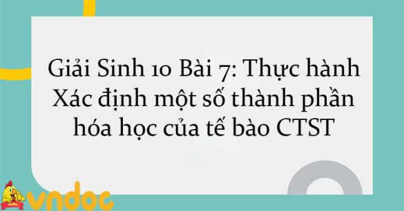 Giải Sinh 10 Bài 7: Thực hành: Xác định một số thành phần hóa học của tế bào CTST