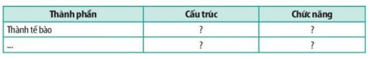 Giải Sinh 10 Bài 7: Tế bào nhân sơ KNTT