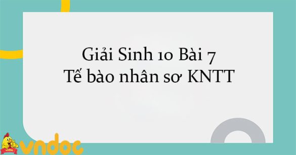 Giải Sinh 10 Bài 7: Tế bào nhân sơ KNTT